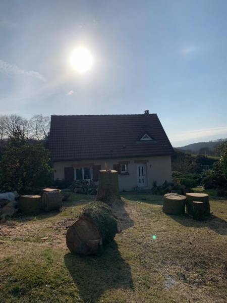 Démontage d’un chêne dans un jardin situé à Gonfreville l’Orcher 76