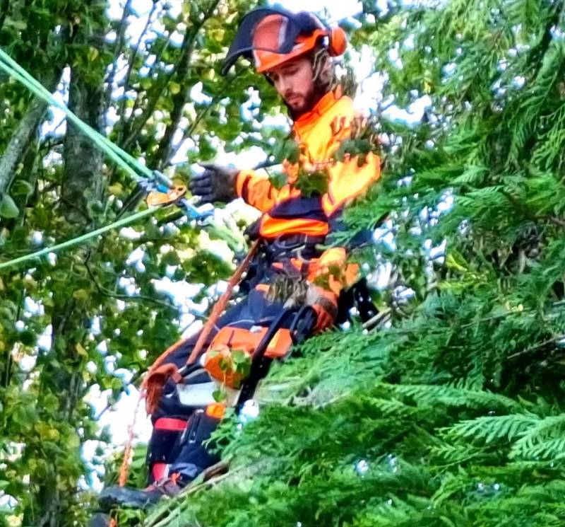 Faire appel à un paysagiste pour réaliser un élagage d’arbres, Le Havre 76